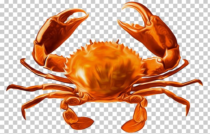 Giant Mud Crab Atlantic Horseshoe Crab European Green Crab PNG, Clipart, Animals, Animal Source Foods, Arthropod, Atlantic Horseshoe Crab, Crab Free PNG Download