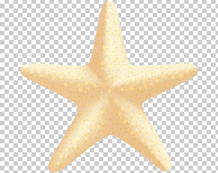Starfish PNG, Clipart, Animals, Clam, Clip Art, Echinoderm, Invertebrate Free PNG Download