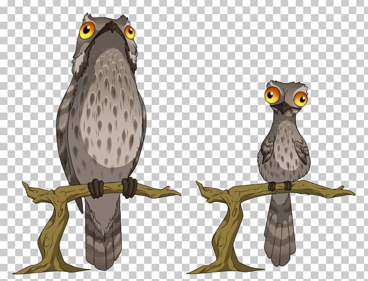 Tawny Owl Bird Potoo Great Grey Owl PNG, Clipart, Animal, Beak, Bird, Bird Of Prey, Deviantart Free PNG Download