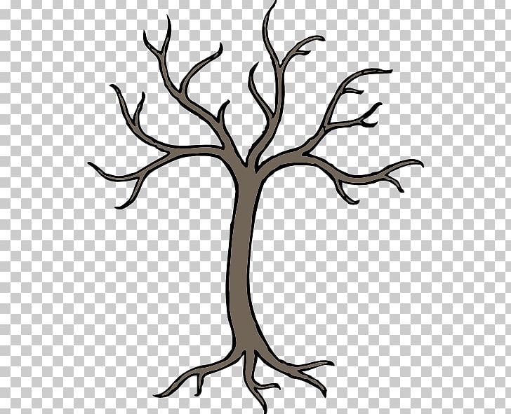 Tree Oak PNG, Clipart, Antler, Black And White, Branch, Crown, Drawing Free PNG Download