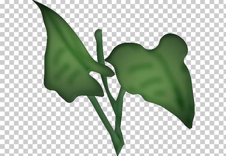 Flower PNG, Clipart, Alismatales, Arum, Arum Family, Blume, Flora Free PNG Download
