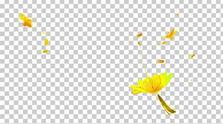 Floating Golden Frame Leaf PNG, Clipart, Branch, Closeup, Computer Wallpaper, Designer, Download Free PNG Download