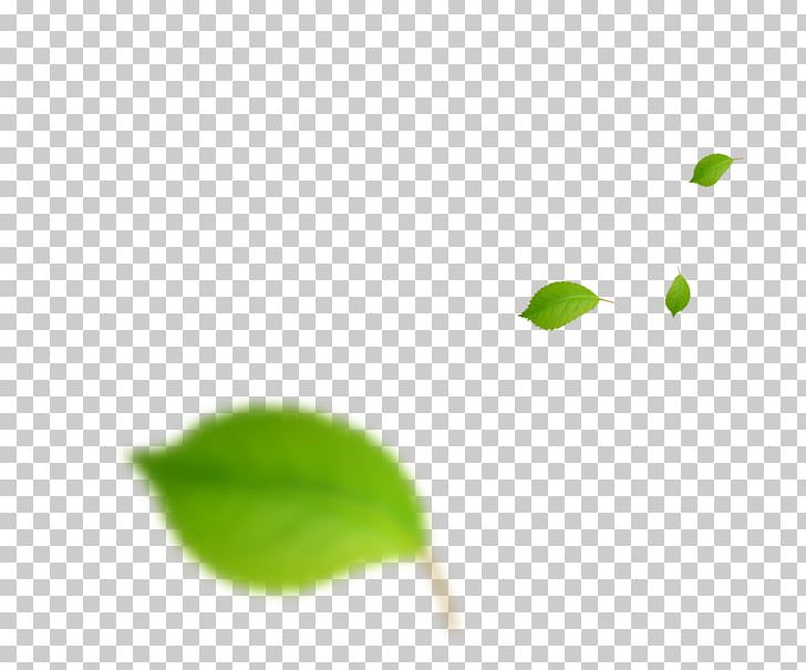 Green Leaf PNG, Clipart, Autumn Leaves, Banana Leaves, Computer, Computer Wallpaper, Creative Free PNG Download