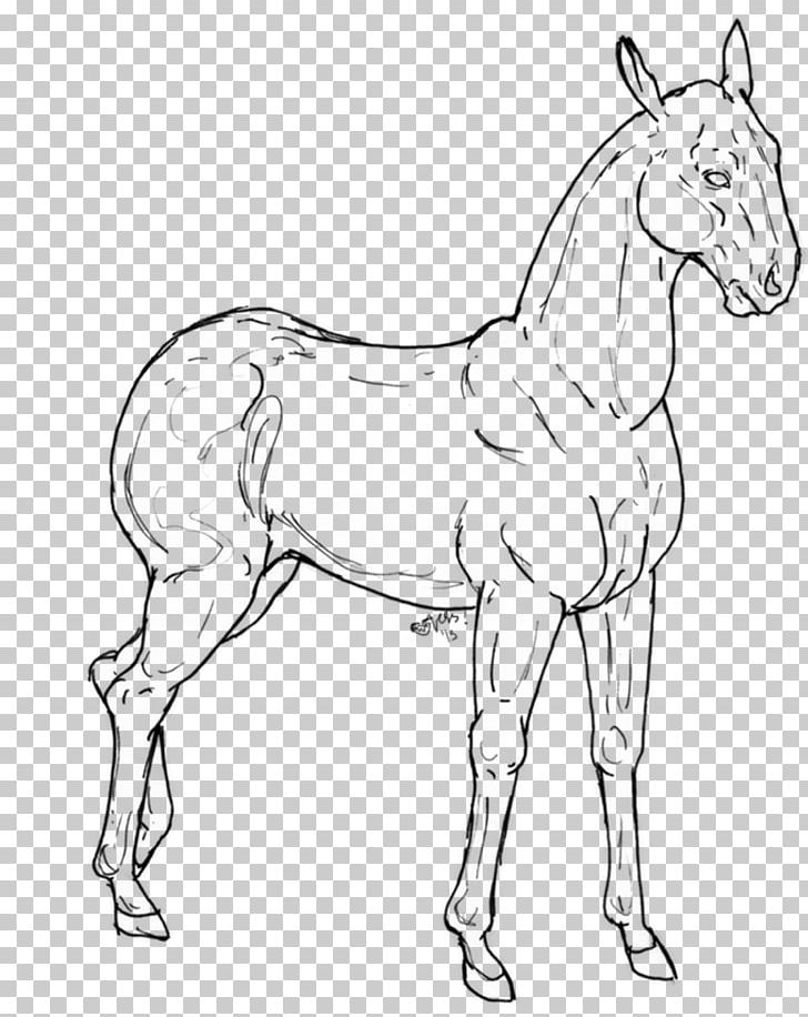 Mule Mustang Foal Bridle Colt PNG, Clipart, Animal Figure, Artwork, Black And White, Bridle, Colt Free PNG Download