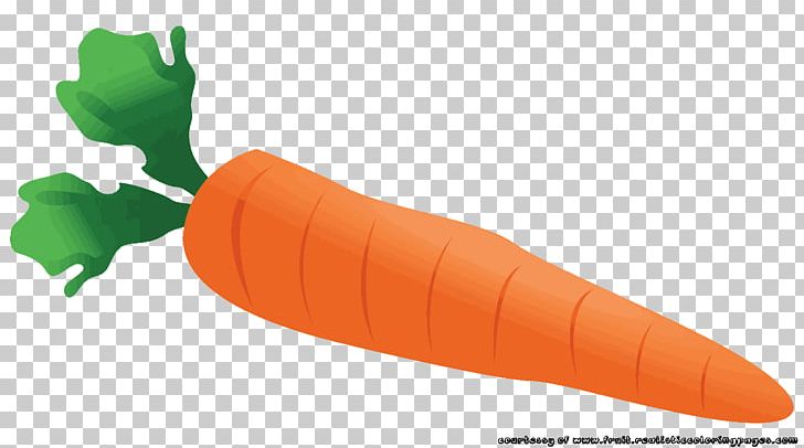 Baby Carrot Vegetable PNG, Clipart, Baby Carrot, Carrot, Desktop Wallpaper, Food, Fruit Free PNG Download