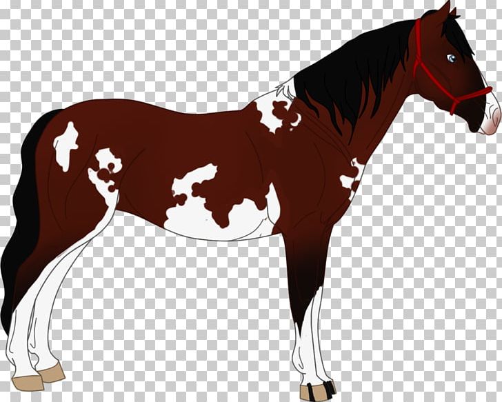 Foal Stallion Mare Mustang Rein PNG, Clipart, Animal Figure, Bridle, Colt, Foal, Halter Free PNG Download