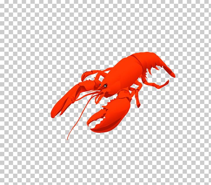 Red Lobster PNG, Clipart, Animals, Animal Source Foods, Blog, Cartoon, Clip Art Free PNG Download