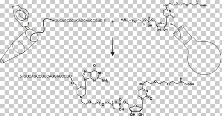 Beilstein Journal Of Organic Chemistry Scientific Journal PNG, Clipart, Acid, Angle, Area, Auto Part, Black And White Free PNG Download