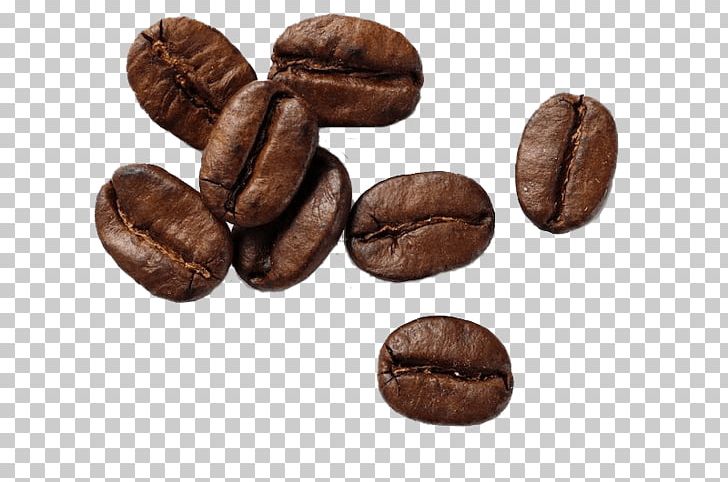 Coffee Bean Cafe Espresso Coffee Roasting PNG, Clipart, Bean, Beans, Cafe, Cocoa Bean, Coffea Free PNG Download