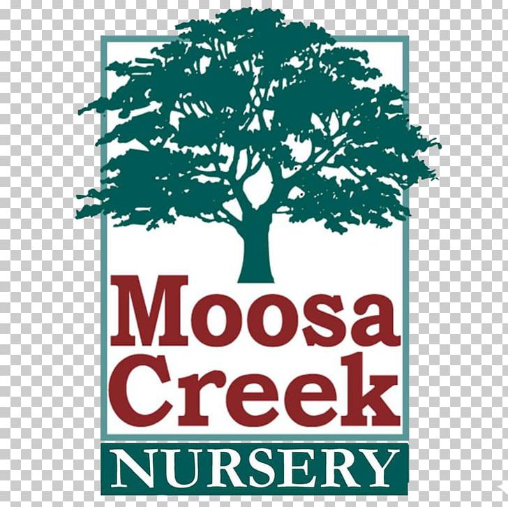 Moosa Creek Nursery Valley Center Garden Walter Andersen Nursery PNG, Clipart,  Free PNG Download