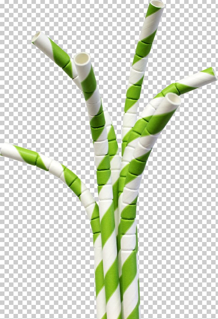 Paper Drinking Straw Plastic PNG, Clipart, Biodegradation, Drink, Drinking, Drinking Straw, Eco Free PNG Download
