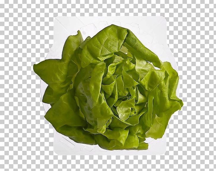 Romaine Lettuce Rijk Zwaan Red Leaf Lettuce Leaf Vegetable PNG, Clipart, Boston, Chard, Dome, Ea 2, Food Free PNG Download