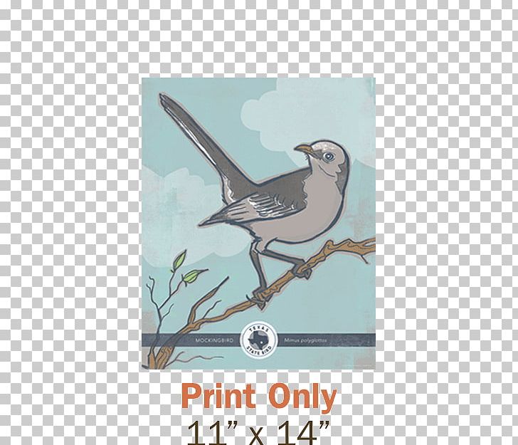 Texas Tennessee Northern Mockingbird Florida PNG, Clipart, Beak, Bird, Bird Of Prey, Birdwatching, Fauna Free PNG Download