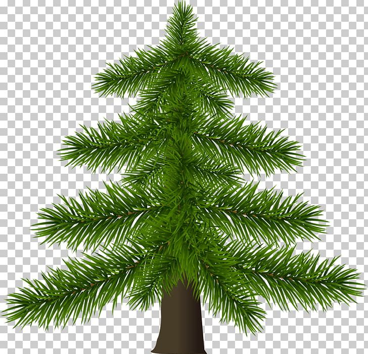 Christmas Tree Christmas Tree Pine PNG, Clipart, Balinese People, Branch, Cedar, Christmas, Christmas Card Free PNG Download