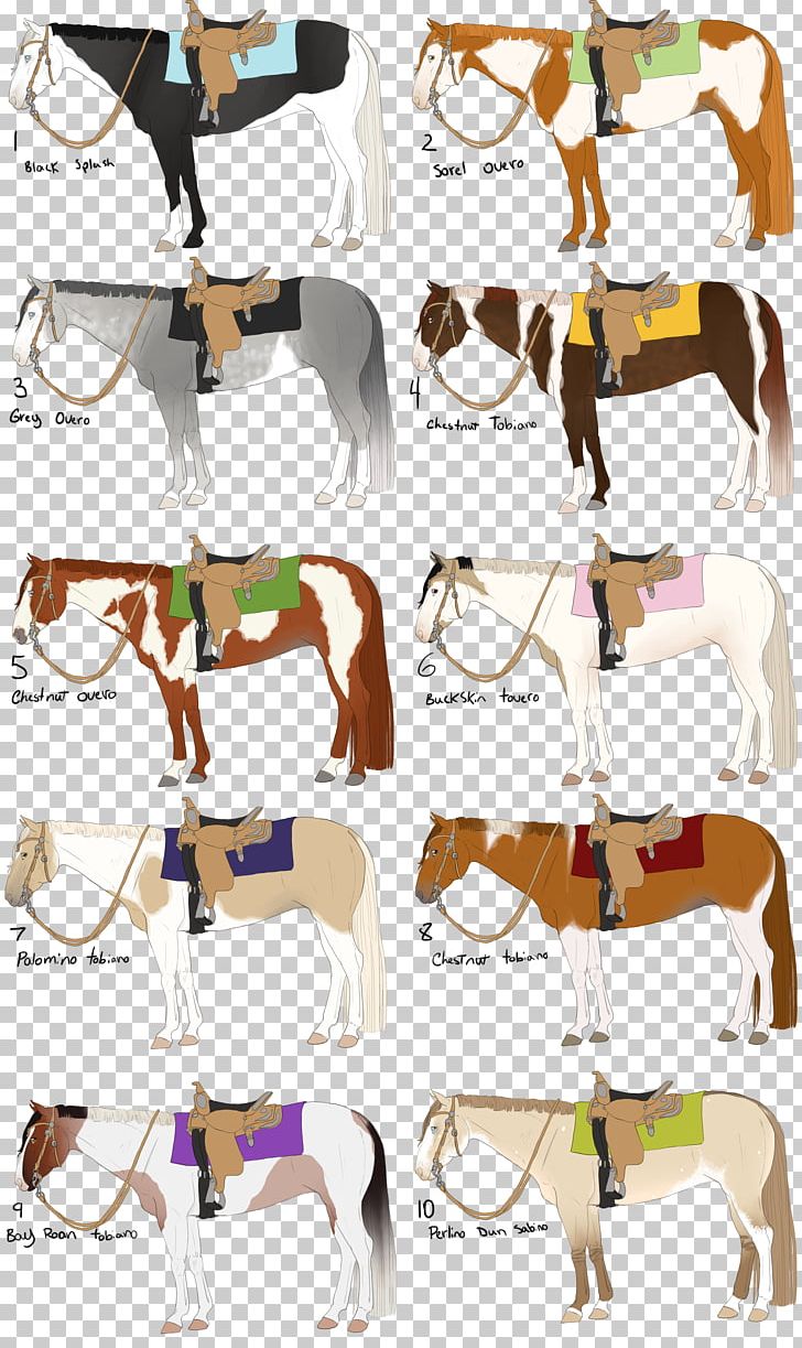 Mustang American Paint Horse Pony American Quarter Horse Overo PNG, Clipart, American Paint Horse, American Paint Horse Association, American Quarter Horse, Bridle, Horse Free PNG Download