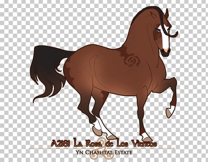 Mustang Mare Pony Stallion Bridle PNG, Clipart, Breed, Bridle, Grullo, Halter, Horse Free PNG Download