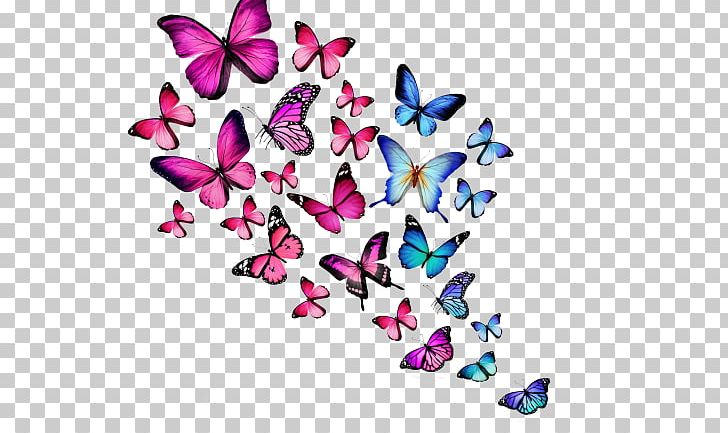 Desktop Butterfly Color PNG, Clipart, Blue, Body Jewelry, Butterfly, Color, Computer Free PNG Download