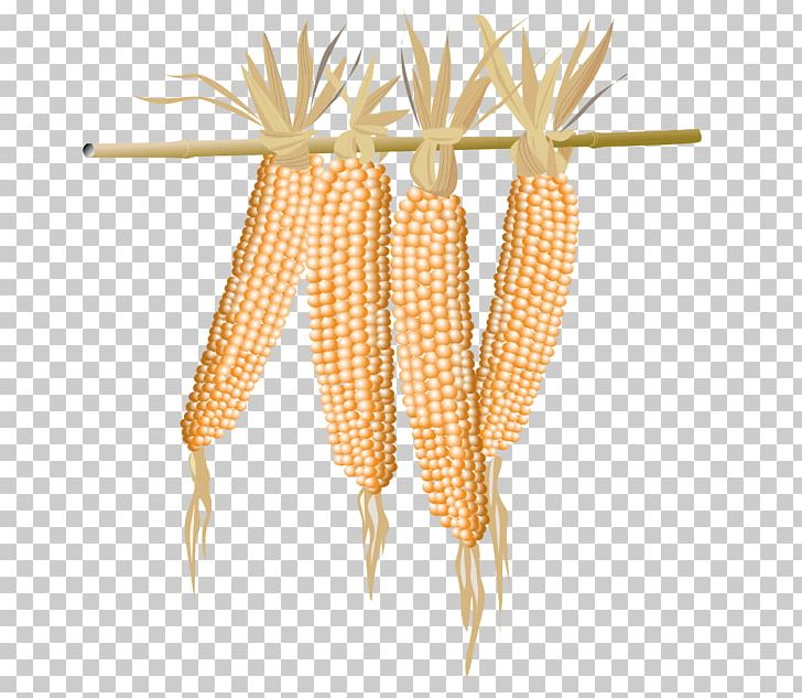 Popcorn Maize PNG, Clipart, Adobe Illustrator, Cartoon Corn, Commodity, Corn, Corn Vector Free PNG Download