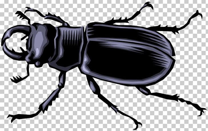 Volkswagen Beetle Butterfly Darkling Beetle Cartoon PNG, Clipart, Animal, Animals, Arthropod, Balloon Cartoon, Black Free PNG Download