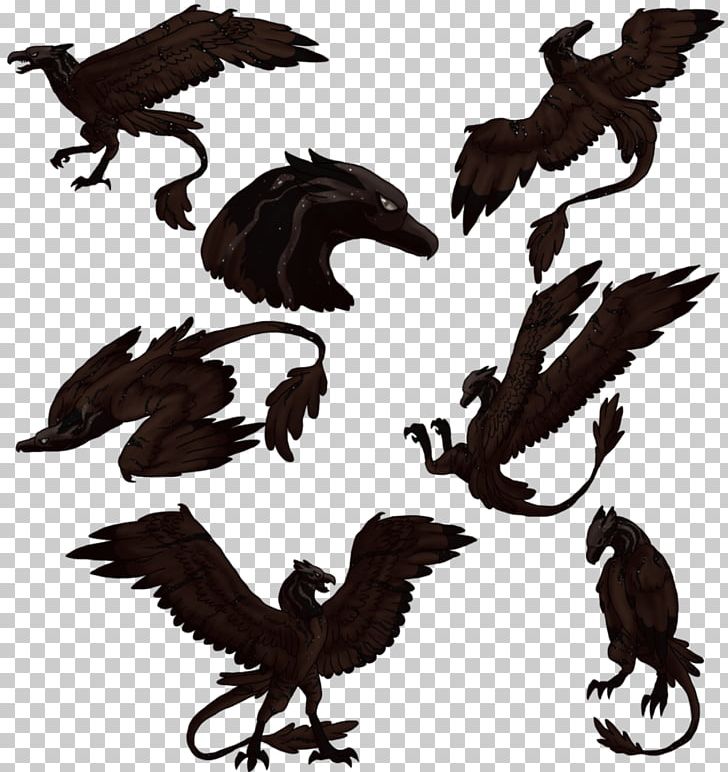 Bald Eagle Buzzard Hawk Vulture Beak PNG, Clipart, Animals, Bald Eagle, Beak, Bird, Bird Of Prey Free PNG Download