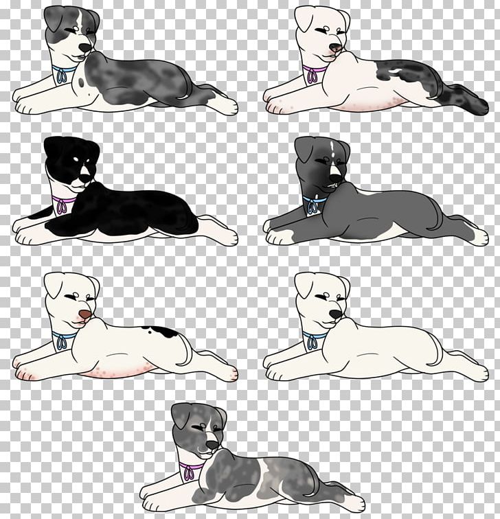 Cat Puppy Dog Breed Leash PNG, Clipart, Animals, Breed, Carnivoran, Cartoon, Cat Free PNG Download