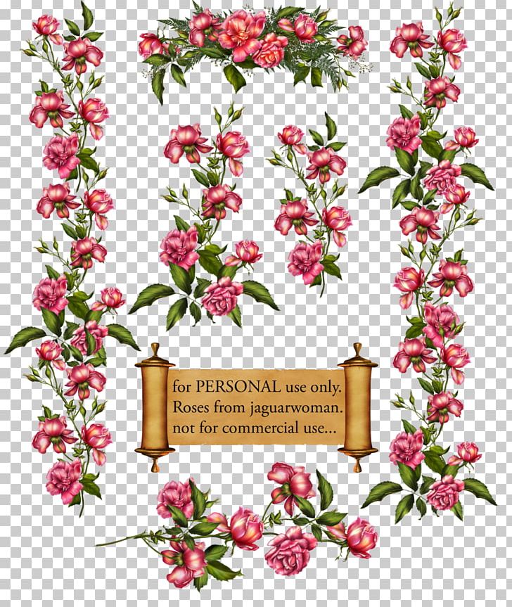 Rose Vine Drawing PNG, Clipart, Art, Blossom, Branch, Clip Art, Cut Flowers Free PNG Download