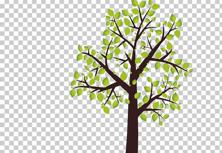 Twig Plant Stem Leaf Font PNG, Clipart, Branch, Cognitive, Leaf, Lee, Meer Free PNG Download