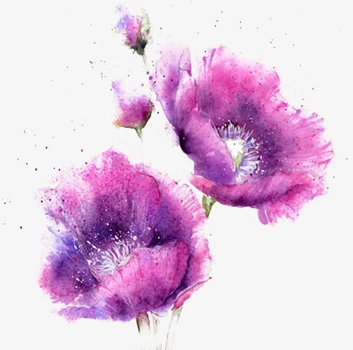 Watercolor Purple Flowers PNG, Clipart, Beautiful, Flowers, Flowers Clipart, Picture, Png Free PNG Download