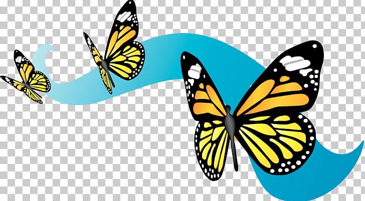 Monarch Butterfly Migration PNG, Clipart, Animal Migration, Brush Footed Butterfly, Butterfly Clipart, Caterpillar, Insect Free PNG Download