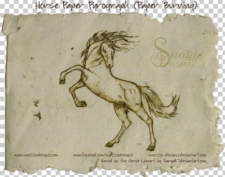 Mustang Essay Equestrian Doma Gentile Horse Welfare PNG, Clipart, Analysis, Doma Gentile, Drawing, Dressage, Equestrian Free PNG Download