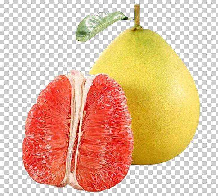 Pomelo Grapefruit Juice Lemon Citron PNG, Clipart, Accessory Fruit, Apple Fruit, Citric Acid, Citrus, Die Free PNG Download