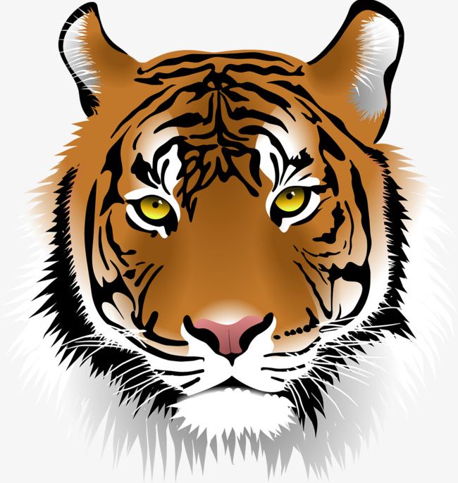 A Tiger Head PNG, Clipart, A Clipart, Animal, Cartoon, Head Clipart, Head  Clipart Free PNG Download