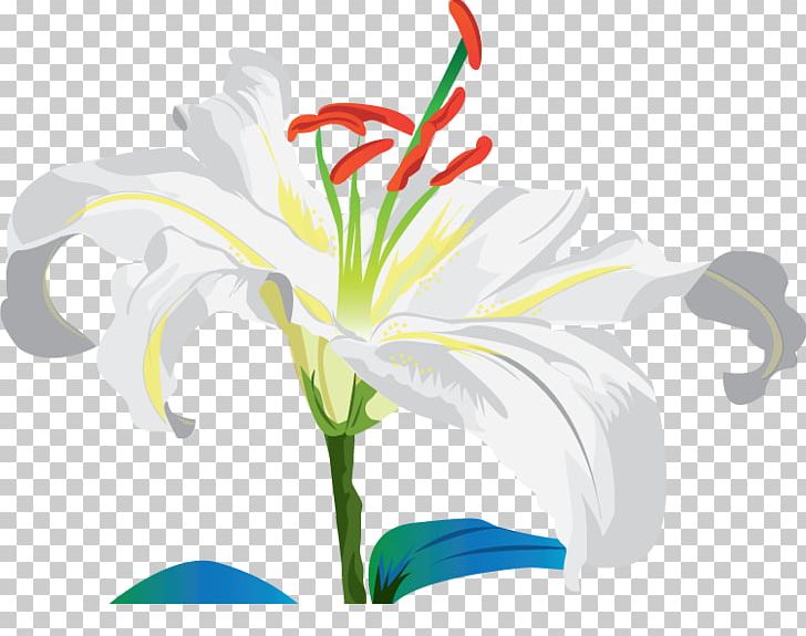 Jersey Lily Cut Flowers Belladonna Plant Stem PNG, Clipart, Amaryllis, Amaryllis Belladonna, Belladonna, Cut Flowers, Flora Free PNG Download
