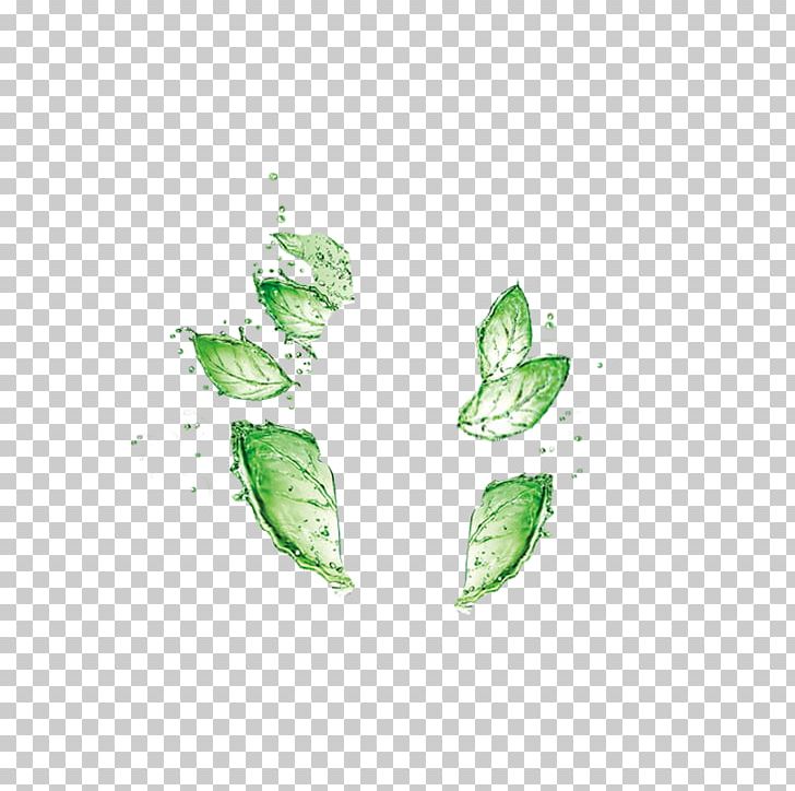 Leaf Green Drop Water PNG, Clipart, Autumn Leaves, Banana Leaves, Drop, Emerald, Encapsulated Postscript Free PNG Download