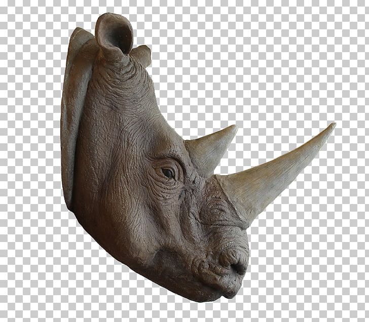 Rhinoceros Snout Horn Animal Cuteness PNG, Clipart, Animal, Anonymous, Bird, Cattle, Cattle Like Mammal Free PNG Download