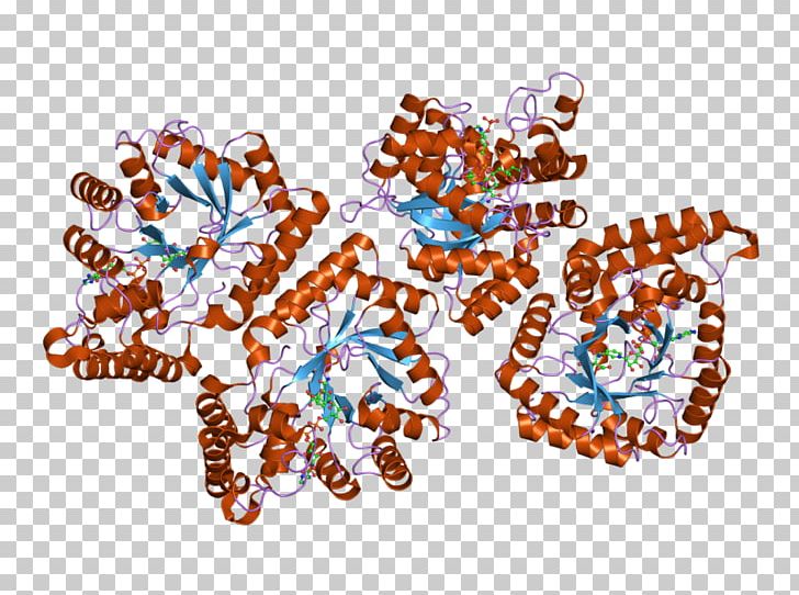 AKR7A2 Art Enzyme Aldose Reductase Aflatoxin B1 PNG, Clipart, 7 A, Aflatoxin, Aflatoxin B1, Aldehyde, Aldose Reductase Free PNG Download