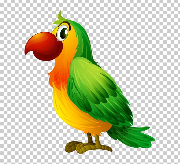 Bird Parrot Illustration PNG, Clipart, Animals, Balloon Cartoon, Beak, Cartoon Animals, Cartoon Character Free PNG Download