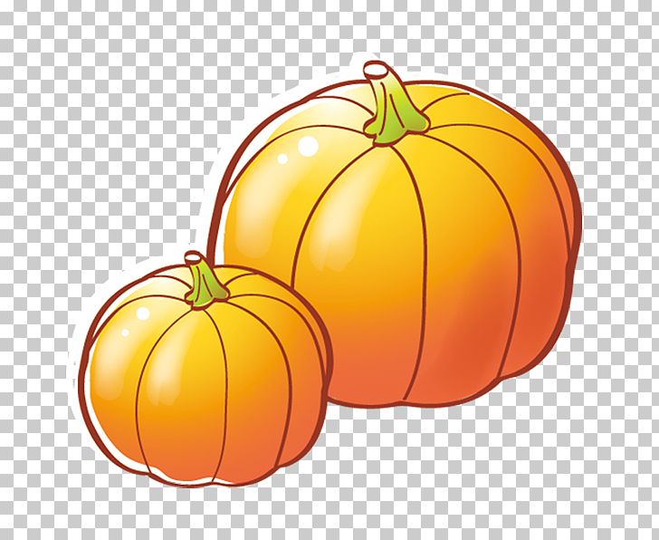 Jack-o-lantern Calabaza Pumpkin Cucurbita Pepo PNG, Clipart, Calabaza, Citrus, Commodity, Food, Fruit Free PNG Download