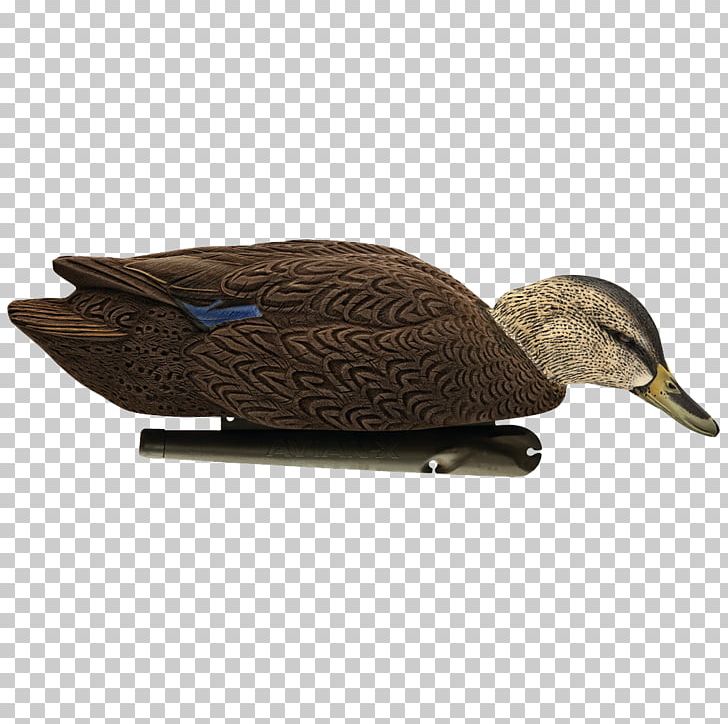 Mallard Duck Decoy Goose Cygnini PNG, Clipart, Animals, Beak, Bird, Canvasback, Common Goldeneye Free PNG Download