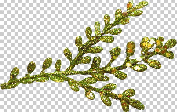 Branch Leaf PNG, Clipart, Branch, Christmas Tree, Computer Graphics, Computer Icons, Download Free PNG Download