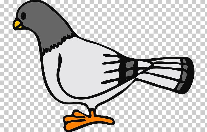 Columbidae Domestic Pigeon Clay Pigeon Shooting PNG, Clipart, Artwork, Beak, Bird, Black And White, Clay Pigeon Shooting Free PNG Download