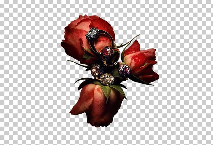 Garden Roses Pomellato Jewellery Earring Luxury Goods PNG, Clipart, Bisou, Cut Flowers, Earring, Fleur, Flower Free PNG Download