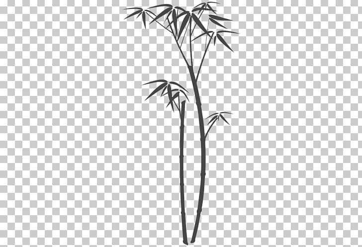 Wall Decal Tropical Woody Bamboos Grasses Tattoo PNG, Clipart, Arecales, Bamboo Material, Black And White, Branch, Flora Free PNG Download