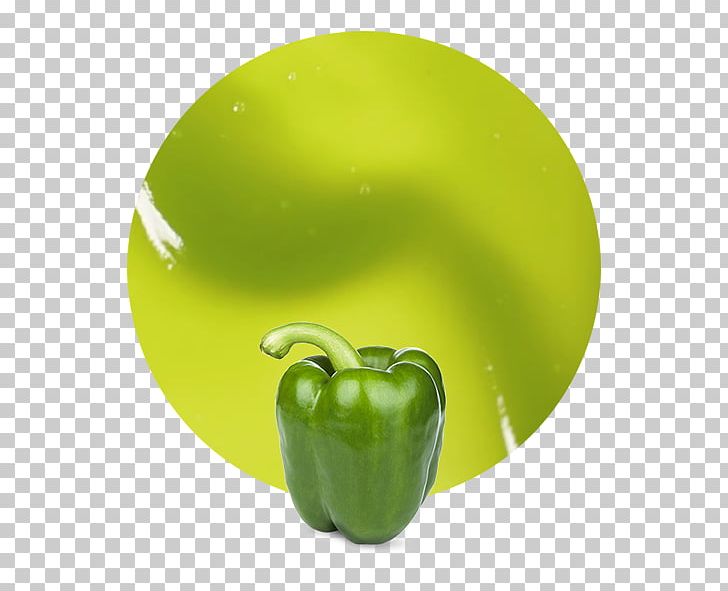 Yellow Pepper Bell Pepper Vegetable Purée Fruit PNG, Clipart, Apple, Bell Pepper, Bell Peppers And Chili Peppers, Company, Email Free PNG Download
