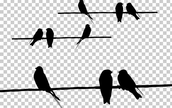 Barbed Wire Beak Silhouette Feather Font PNG, Clipart, Angle, Animals, Barbed Wire, Beak, Bird Free PNG Download