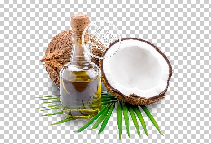 Coconut Oil Date Palm Food PNG, Clipart, Benefit, Coconut, Coconut Oil, Cooking, Date Palm Free PNG Download