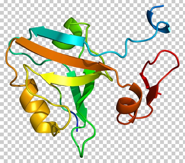 DLG4 Protein Postsynaptic Density Synapse Neuroligin PNG, Clipart, Area, Artwork, Cell Membrane, Dlg4, Gene Free PNG Download