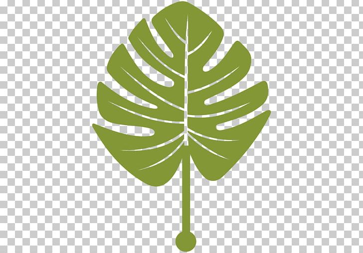 Palm Trees Leaf Graphics Palm Branch PNG, Clipart, Areca Palm, Banana Leaf, Flowering Plant, Grass, Green Free PNG Download