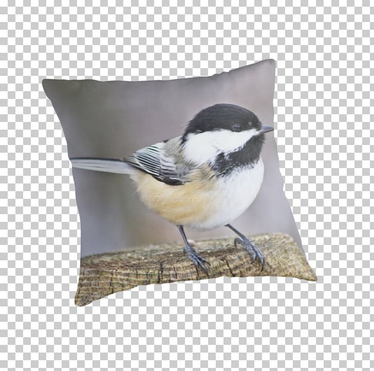 Throw Pillows Cushion Wren Beak PNG, Clipart, Beak, Bird, Cushion, Furniture, Pillow Free PNG Download