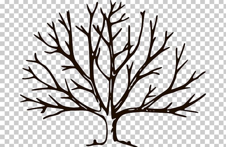 Tree Free Content PNG, Clipart, Art, Artwork, Black And White, Blog, Branch Free PNG Download